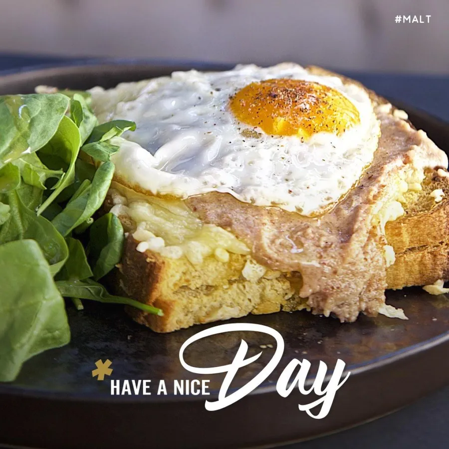Fried egg toast with melted cheese and rocket salad