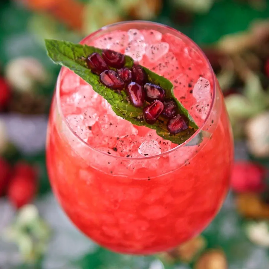 Pomegranate cocktail garnished with mint